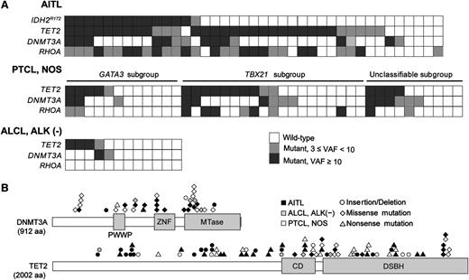 Figure 1. Mutational profiles of IDH2, TET2, DNMT3A, and RHOA in patients with PTCLs. (A) Co-occurrence of IDH2R172, TET2, DNMT3, and RHOA mutations in patients with AITL (n = 39), subgroups of PTCL-NOS (n = 41), and ALK(−) ALCL (n = 12). White color indicates wild-type cases. Gray color indicates cases with variant allele frequency (VAF) of ≥3% but <10%. Black color indicates cases with VAF of ≥10%. (B) Mutations occur in functional domains of the TET2 and DNMT3A proteins. Missense mutations, nonsense mutations, and insertion/deletions are indicated.