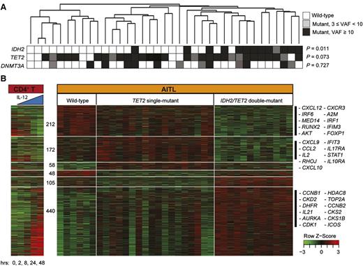 Figure 2. IDH2R172 mutations define a unique subgroup of AITL with distinct gene expression. (A) Dendrogram of unsupervised hierarchical clustering of 37 AITL cases with mutational status of IDH2R172, TET2, and DNMT3A. The branches indicate Pearson's correlation among the samples. Fisher's exact test was performed to determine the significance of the tendency of neighboring cases on the dendrogram to have identical mutation status. (B) Supervised heat map of samples across 1035 genes differentially expressed among IDH2/TET2 double-mutant (n = 12), TET2 single-mutant (n = 18), and wild-type (n = 6) AITL (univariate permutation test, P < .01). The profile on the left shows gene expression in primary CD4+ T cells treated with IL-12 for 0, 2, 8, 24, and 48 hours. Each column represents a case. Green and red color scale indicates row z-score. Selected differentially expressed genes are listed at the right side of the profile.