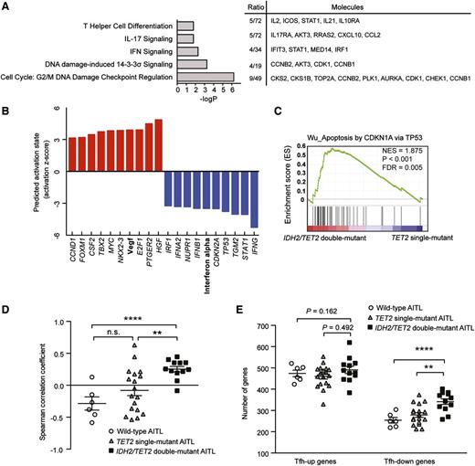 Figure 3. Functional annotation of genes differentially expressed between IDH2/TET2 double-mutant AITL and TET2 single-mutant AITL. (A) Selected top IPA canonical pathways differing between IDH2/TET2 double-mutant AITL and TET2 single-mutant AITL. (B) IPA upstream analysis to predicted activation state of annotated proteins. “Vegf” and “Interferon alpha” are groups of proteins instead of single molecules. Activation z-score >3 was considered significant. (C) Apoptosis pathway identified by GSEA analysis significantly altered in IDH2/TET2 double-mutant AITL compared with TET2 single-mutant AITL. The normalized enrichment score, P value, and false discovery rate value are indicated. (D) Correlations between (1) the differences in GEP between each individual AITL case and the median tumor value with (2) the changes in GEP induced in normal CD4+ T-cells by IL-12 (48 hours). (E) Comparison of the number of “TFH-up genes” and “TFH-down genes” (see text) in AITL. Data are shown as mean ± standard error of the mean (SEM). P value was calculated using the 2-tailed Student t test. *P < .05, **P < .01, ***P < .001, and ****P < .0001.
