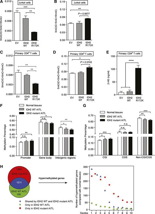 Figure 4. IDH2R172 mutations are associated with DNA hypermethylation in AITL and T cells. (A-B) Simultaneous detection of 5mC and 5hmC in transduced Jurkat cells by the LC-MS/MS method. (C-D) Simultaneous detection of 5mC and 5hmC in transduced human CD4+ T cells by the LC-MS/MS method. (E) LC-MS/MS showing alteration of intracellular 2-HG in corresponding groups (n = 4 each). (F) RRBS showing alterations of methylation level among normal tissues (n = 7, 3 tonsils and 4 CD4+ T-cell samples), IDH2 wild-type AITL (n = 8) and IDH2R172 mutant AITL (n = 10) in different genomic regions. Promoters are ±1-kb regions relative to transcription start site. Gene bodies are regions of transcribed sequences excluding promoter regions. Intergenic regions are the sequences other than promoters and gene bodies. (G) RRBS showing alterations of methylation level in CpG island (CGI), CpG island shore (CGS), and non–CGI-CGS regions. (H) Number of hypermethylated genes in IDH2 wild-type AITL (n = 8) and IDH2R172 mutant AITL (n = 10) compared with normal tissues. Red indicates genes only hypermethylated in IDH2R172-mutant AITL. Green indicates genes only hypermethylated in IDH2 wild-type AITL. Blue indicates genes hypermethylated in both IDH2R172 mutant and IDH2 wild-type AITL. Genes with expression data were divided into deciles based on the mean gene expression level of 5 normal CD4+ T-cell samples (10 = highest). Data are shown as mean ± SEM. P value was calculated using the 2-tailed Student t test. *P < .05, **P < .01, ***P < .001, and ****P < .0001.