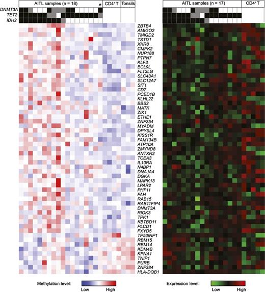 Figure 5. Genes with aberrant expression associated with aberrant methylation in AITL. RRBS methylation analysis (left) and gene expression analysis (right) are shown for 46 hypermethylated and 9 hypomethylated genes between 18 AITL and 7 normal samples. Gene selection criteria include promoters of the selected genes must be significantly hyper- or hypomethylated compared with normal tissue (3 tonsils and 4 CD4+ T-cell samples; P ≤ .05); selected genes must be normally expressed in primary CD4+ T cells; and there must be strong correlation between promoter methylation and gene expression among the samples (R < −0.4). Except for 1 case (indicated with *), all cases with RRBS data have corresponding gene expression data. Mutational statuses of IDH2R172, TET2, and DNMT3A are listed at the top.
