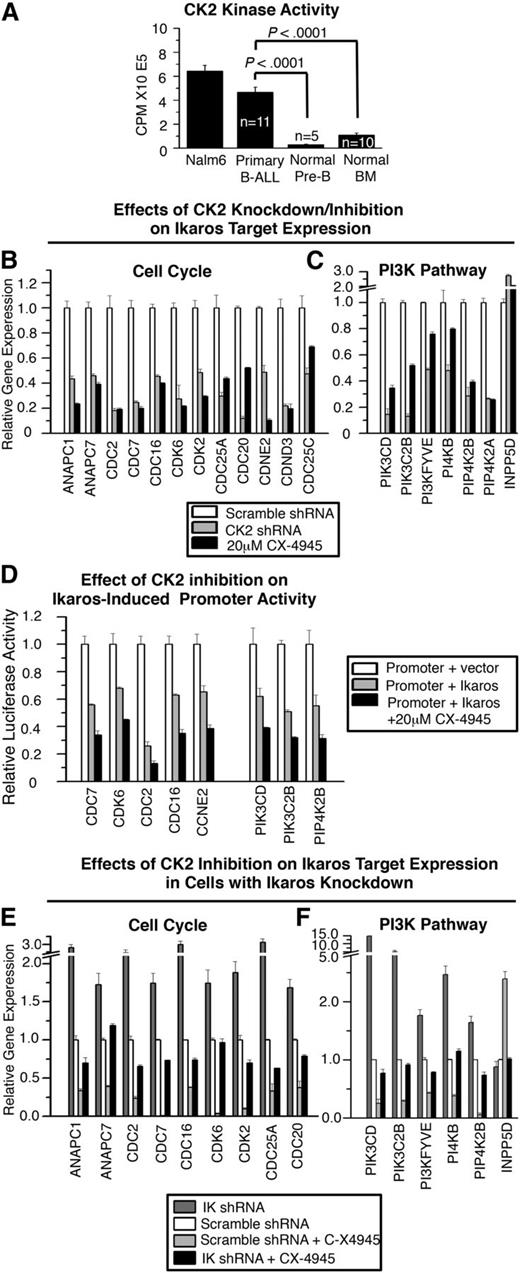 Figure 3. CK2 impairs Ikaros-mediated transcriptional regulation of genes that control cell cycle progression and the PI3K pathway. (A) CK2 kinase activity assay of the Nalm6 B-ALL cell line and primary B-ALL, normal BM and normal B cell precursors. Graphed are means ± standard error of the mean, comparison by Student t test. CK2 activity was similar in B-ALL with or without IKZF1 mutation or deletion (data not shown). (B-C) Effect of molecular inhibition of CK2 by shRNA (gray) or pharmacologic inhibition of CK2 with CX-4945 (black) on expression of Ikaros target genes that regulate (B) cell cycle progression and (C) the PI3K pathway as measured by qRT-PCR. (D) Effect of CX-4945 treatment on Ikaros-mediated transcriptional repression of promoters of cell cycle and PI3K pathway genes as measured by qRT-PCR. (E-F) Effect of Ikaros knockdown on changes in (E) cell cycle and (F) PI3K pathway gene expression induced by CK2 inhibition with CX-4945 as measured by qRT-PCR.