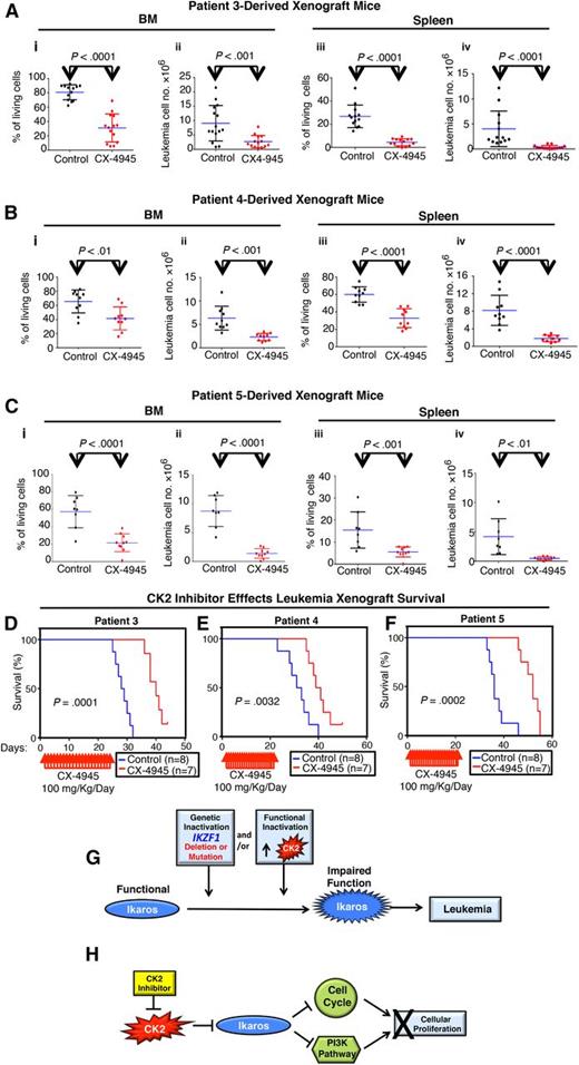 Figure 7. CK2 inhibition has an antileukemia effect on primary xenografts of high-risk B-ALL. NRG mice were injected with primary B-ALL cells with deletion of (A) 1 IKZF1 allele or (B-C) other poor prognostic features (supplemental Table 1). (A-C) Following established engraftment (determined as described in Patients, materials, and methods), mice were treated with the CK2 inhibitor, CX-4945, or with vehicle control. Mice were killed and evaluated for the presence of leukemia in BM and spleen at day 22 (patient 3), day 17 (patient 4), or day 26 (patient 5) following the initiation of treatment. Percentages and numbers of leukemia cells in BM or spleen of xenograft mice are graphed. The effect of drug treatment was assessed by Student t test. (D-F) Patient-derived xenografts established with B-ALL from patient 3 (D), patient 4 (E), and patient 5 (F) were treated for 22 days with CK2 inhibitors, CX-4945, or vehicle control and followed for survival. Survival curves were generated using the Kaplan-Meier method, and differences in survival were analyzed by χ2 test. (G-H) Model for the restoration of Ikaros antileukemia activity following CK2 inhibition. (G) Loss of Ikaros tumor suppressor function can occur by genetic inactivation (deletion or inactivating mutation of IKZF1) and/or by functional inactivation due to increased CK2 activity. (H) Targeted inhibition of CK2 kinase restores Ikaros function as repressor of cell cycle progression and the PI3K pathway, which results in an antileukemia effect.
