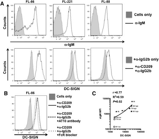 Figure 2. DC-SIGN binding to surface IgM+ primary FL cells. Representative FACS plots of 3 FL samples simultaneously stained within the same tube to detect sIgM expression and soluble DC-SIGN binding (n = 6). Analysis (FlowJo) of singlet live cells initially allowed examination of sIgM expression (A). Populations positive for sIgM were gated to determine DC-SIGN binding on these cells. (B) Representative FACS plot of a control experiment to show that recombinant DC-SIGN-Fc binding is not affected by AT10 (anti-CD32) antibody or by the FcR-blocking reagent. (C) Analysis of GeoMFI data (GraphPad Prism) found that expression of sIgM was significantly correlated to binding of DC-SIGN (Spearman rank test). This correlation was confirmed further within samples of FL cells showing double peaks of high and low sIgM expression.