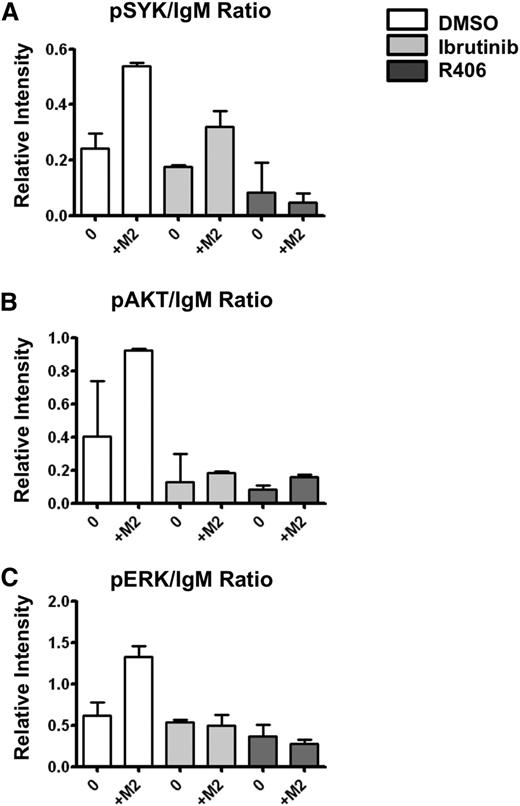 Figure 6. Btk and Syk inhibitors abrogate FL BCR activation induced by M2 macrophages. Purified Hi-B FL cells were pretreated with Ibrutinib, R406, or their solvent (DMSO) before coculture or not (0) with M2 macrophages (M2) for 1 hour. B cells were then collected and (A) pSYK, (B) pAKT, (C) pERK, and IgM expressions were studied by western blot. Bars represent mean ± SD from 2 experiments.