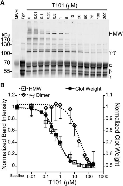 Figure 7. RBC retention is reduced at concentrations of T101 that inhibit α-chain crosslinking. (A) Recalcified (10 mM, final) plasma was clotted with TF (1 pM) in the presence of increasing concentrations of T101. Clots were dissolved and analyzed by western blotting with polyclonal anti-human fibrinogen antibody. The second lane (Fgn) is unclotted plasma. (B) Normalized intensity of γ-γ dimer (open diamonds, short dashed line, n = 3) or HMW bands (open squares, long dashed line, n = 3) superimposed on normalized clot weight following clot contraction in the presence of T101 (closed circles, solid line, n = 5-7). Data are means ± SE.