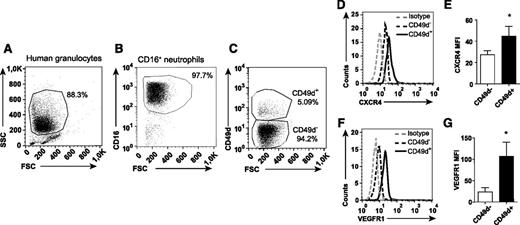 Figure 4. The CD49d+ population of human neutrophils expresses uniquely high levels of CXCR4 and VEGFR1. Representative flow cytometry plots of human neutrophils isolated from blood, (A) gated in forward-scattered light (FSC)/side-scattered light (SSC) and (B) on CD16 expression, and (C) labeled with mAb toward CD49d. (D-G) Representative histograms and quantified mean fluorescence intensities (MFIs) of the CD49d+ and CD49d– neutrophils after staining with CXCR4 and VEGFR1 mAbs (n = 8-12 healthy human individuals). *P < .05.