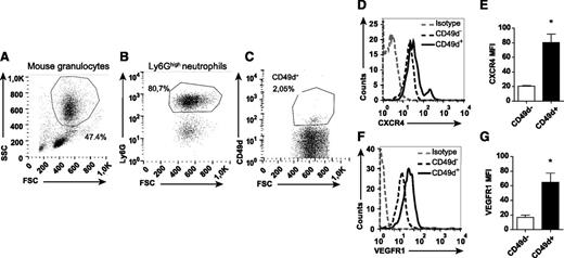 Figure 5. Mouse neutrophils expressing CD49d show high levels of CXCR4 and VEGFR1. Representative flow cytometry plots of mouse neutrophils isolated from blood, (A) gated in FSC/SSC and on (B) Ly6G expression, and (C) labeled with mAb toward CD49d. (D-G) Representative histograms and quantified MFIs of the CD49d+ and CD49d– neutrophils after staining with CXCR4 and VEGFR1 mAbs (n = 8-16 mice). *P < .05.