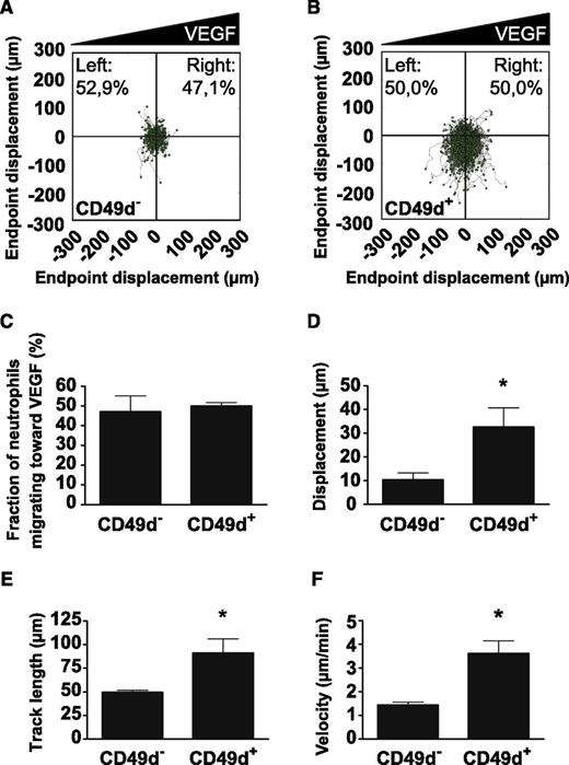 Figure 6. VEGF-A increases chemokinesis of CD49d+ human neutrophils. Polar plots displaying the trajectories of (A) CD49d– or (B) CD49d+ human neutrophils migrating in stable gradients of VEGF-A (from 4 independent trials). Gradients were formed with high concentration to the right side of the plots. (C) Neutrophils did not show chemotaxis in response to the VEGF-A gradient. Analysis of neutrophil migration by measuring (D) the average displacement, (E) the average track length, and (F) the average velocity per migrating neutrophil show that CD49d+ neutrophils display enhanced chemokinesis in the presence of VEGF-A. *P < .05.