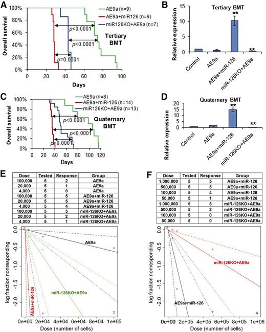 Figure 3. Overexpression of miR-126 exhibited a more potent effect than knockout of miR-126 on long-term LSC/LIC self-renewal and frequency. (A) The tertiary BMT recipients were transplanted with leukemic BM cells isolated from the secondary BMT recipient mice of the AE9a, AE9a+miR-126, and miR-126KO+AE9a groups. Kaplan-Meier curves and P values (log-rank test) are shown. (B) Expression of miR-126 was detected by qRT-PCR assay in leukemic BM cells (CD45.2+) of tertiary BMT recipients. **P < .01. Survival curves (C) and relative miR-126 expression levels (D) of the 3 groups in quaternary BMT are shown. (E) Mouse BM leukemic cells from secondary BMT recipient mice were used as donor cells for BMT in the limiting dilution assays. The estimated LSC/LIC frequencies of the AE9a, AE9a+miR-126, and miR-126KO+AE9a groups are 1/166 619 (95% CI, 1/529 517-1/52 429), 1/2476 (95% CI, 1/7237-1/847), and 1/27 399 (95% CI, 1/66 212-1/11 338), respectively. Significance of the frequency difference: AE9a vs AE9a+miR-126, P = 5.35 × 10−9 (χ2-test); AE9a vs miR-126KO+AE9a, P = .0092; AE9a+miR-126 vs miR-126KO+AE9a, P =.00072. (F) Mouse spleen leukemic cells from secondary BMT recipient mice were used as donor cells. The estimated LSC/LIC frequency of the AE9a+miR-126 group is 1/95 040 (95% CI, 1/215 902-1/41 837), significantly greater (P = .00088) than that of the miR-126KO+AE9a group at 1/653 224 (95% CI, 1/1 380 618-1/309 066). CI, confidence interval; Dose, number of donor cells; Tested, total number of mice used as BMT recipients in the limiting dilution assay; Response, mice that developed leukemia within 15 weeks post BMT.