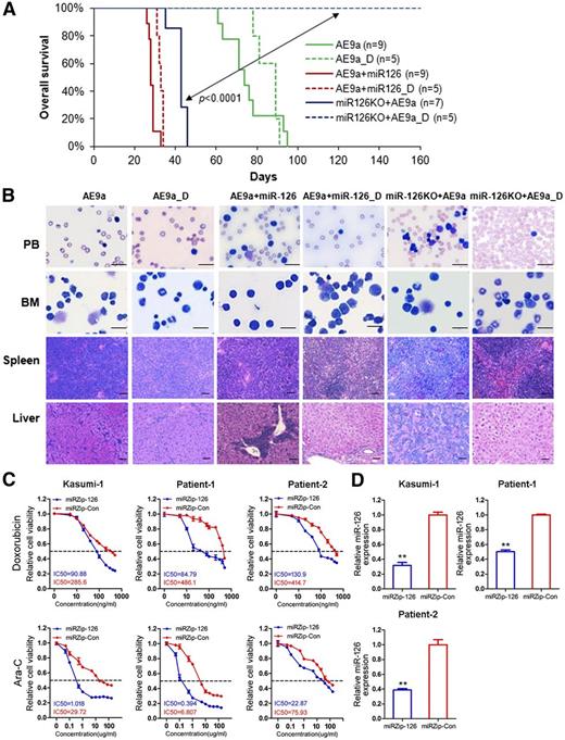 Figure 4. Depletion of miR-126 increases sensitivity to chemotherapy treatment in mice carrying AE9a-induced AML. (A) AE9a, AE9a+miR-126, and miR-126KO+AE9a tertiary leukemic recipient mice were treated with phosphate-buffered saline (control; solid line), or a daily dose of 100 mg/kg Ara-C for 5 days along with a daily dose of 3 mg/kg doxorubicin during the first 3 days of Ara-C treatment (indicated by _D and dashed line; 5+3 regimen36). Kaplan-Meier curves are shown. (B) Wright-Giemsa–stained PB and BM, and H&E-stained spleen and liver of the treated tertiary BMT recipient mice at the end point. Bars represents 25 μm for PB and BM; 100 μm for spleen and liver. (C) The relative viability of Kasumi-1 and primary leukemia cells of t(8;21) AML patients treated with serial dilutions of doxorubicin and Ara-C for 48 hours. (D) Lentivirus-mediated inhibition of miR-126 was detected by qRT-PCR. The data shown are the means of 3 biological replicates. **P < .01. Error bars represent standard deviation. IC50, half-maximum inhibitory concentration miRZip-Con, miRZip™ control lentivirus (System Biosciences); miRZip-126, miRZip™ anti-miR-126 lentivirus (System Biosciences, Mountain View, CA).