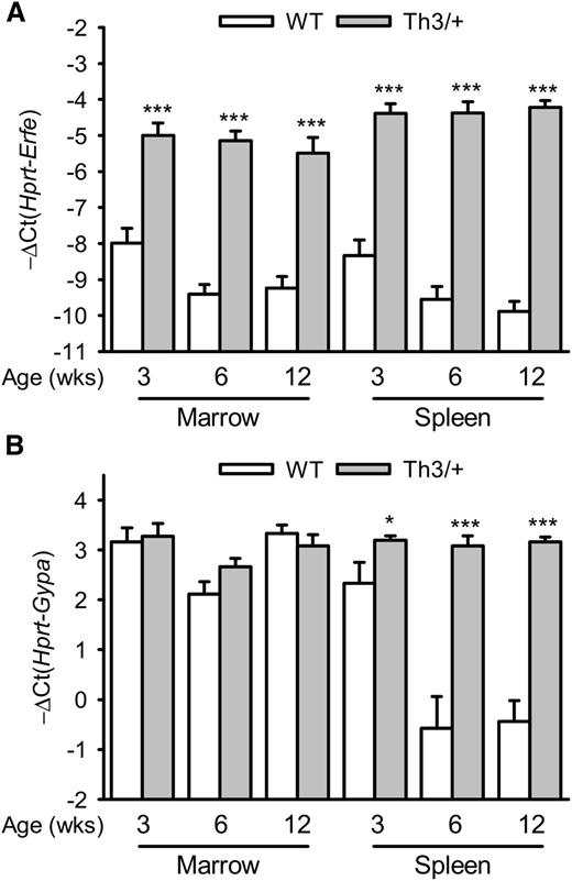 Figure 1. Time course of Erfe and Gypa mRNA expression in the marrow and the spleen of WT and Th3/+ mice. Erfe (A) and glycophorin A (Gypa) (B) mRNA expression in the marrow and the spleen was compared between WT and Th3/+ mice at 3, 6, and 12 weeks of age. Erfe mRNA level was significantly elevated at all ages in Th3/+ mice compared with WT mice, and its expression was already maximal in the marrow and spleen of 3-week-old animals. Gypa expression was unchanged in the marrow but significantly elevated in the spleen of Th3/+ mice compared with WT mice. Data shown are means ± SEM and were compared for each point between WT and Th3/+ mice (n = 9-24 per group) by 2-tailed Student t-test. ***P < .001, *P < .05.