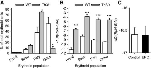 Figure 2. Erfe mRNA expression in erythroid cell populations. Erythroid cells from proerythroblasts (Pro-E) through basophilic (Baso) and polychromatic (Poly) to orthochromatic (Ortho) erythroblasts were isolated from the marrow of 3 WT and 3 Th3/+ mice at 12 weeks of age. (A) The percentage of each cell type (means ± SEM) in the total (Ter119+) erythroid cell population was compared between WT and Th3/+ mice by 2-tailed Student t-test. (B) Erfe mRNA expression (means ± SEM) was compared for each cell type between WT and Th3/+ mice by 2-tailed Student t-test. Erfe mRNA expression was greatly increased in all erythroid cell types. (C) Treatment of WT marrow-derived macrophages with EPO did not influence Erfe mRNA expression. Means ± SEM of 3 independent experiments were compared between controls and EPO-treated cells by 2-tailed Student t-test. ***P < .001, *P < .05.