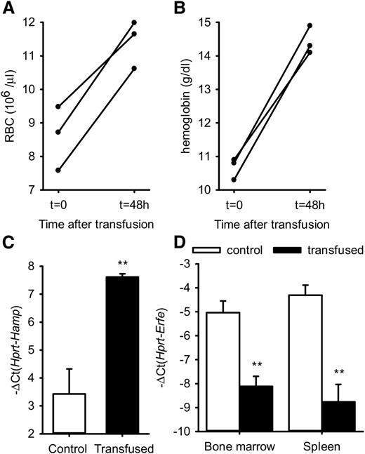 Figure 3. RBC, hemoglobin, Hamp mRNA, and Erfe mRNA levels after transfusion in thalassemic mice. RBC (A) and hemoglobin (B) were significantly increased in Th3/+ mice 48 hours after transfusion of 400 µL packed red cells. Hamp mRNA expression was increased in the liver, whereas Erfe mRNA levels were decreased and returned to baseline in the bone marrow and spleen of transfused Th3/+ mice compared with saline-treated control mice. (C-D) Data shown are means ± SEM and were compared between control and transfused Th3/+ mice (n = 3 per group) by 2-tailed Student t-test. **P < .01.