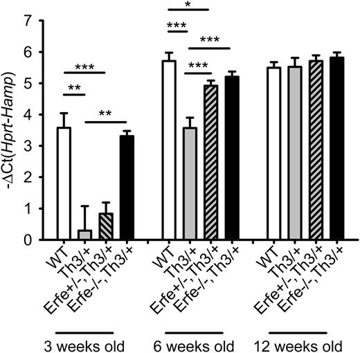Figure 5. Ablation of ERFE in thalassemic mice restores WT hepcidin levels. Th3/+ mice had significantly lower hepcidin mRNA levels at 3 and 6 weeks of age compared with WT mice. Erfe-deficient mice on a thalassemic background (Erfe−/−, Th3/+) had similar hepcidin to WT mice at 3 and 6 weeks of age. Erfe+/−, Th3/+ mice also showed greatly elevated hepcidin compared with Th3/+ mice at the age of 6 weeks. No difference was observed between the 12-week-old mice. Data shown are means ± SEM and were compared for each age group among WT, Th3/+, Erfe+/−, Th3/+, and Erfe−/−, Th3/+ mice (n = 9 to 36 per group) by 2-tailed Student t-test. ***P < .001, **P < .01, *P < .05.