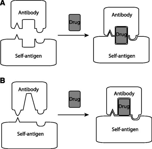 Figure 5. Models for DDAb binding to a cell-surface molecule. (A) The sandwich model. (B) The hybrid paratope model. The antigen could represent any cell-surface molecule, including integrin αIIbβ3.