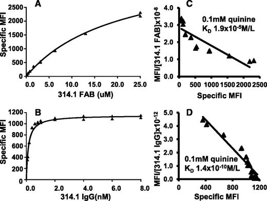 Figure 3. Bivalent interaction is essential for high avidity, quinine-dependent binding of mAb 314.1 to platelets. mAb 314.1 Fab and IgG, labeled with Alexa Fluor 633 and Alexa Fluor 488, respectively, were incubated with platelets at the indicated concentrations in the presence and absence of 0.1 mM quinine. After incubation, platelet-bound Fab and IgG were measured by flow cytometry without an intermediate washing step. Specific MFI values were obtained by subtracting the signal obtained without the drug from that obtained with the drug. Binding isotherms obtained with (A) mAb 314.1 Fab and (B) 314.1 IgG in a representative study. (C,D) Corresponding Scatchard plots. Lines shown are the linear fit for data points obtained in replicate studies shown in panels A and B. In the experiments shown, KD values for quinine-dependent binding of 314.1 Fab and IgG were 1.9 × 10−5 and 1.4 × 10−10 mol/L, respectively.