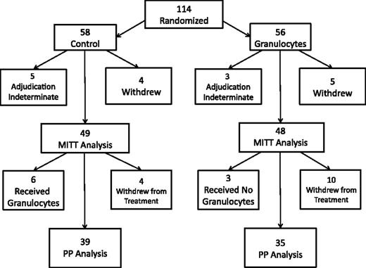 Figure 1. Flow diagram of the study. A total of 114 patients were randomized, 56 to the granulocytes group and 58 to the control group. Nine subjects withdrew from the study, and an additional 14 subjects withdrew from treatment.