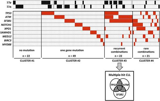 Figure 2. Clustering diagram of gene mutations distribution. Rows correspond to cytogenetics (11q or 17p deletion) or sequenced gene and columns represent individual patients. Patients are clustered according to (i) number of genes mutations (0 in cluster 1, 1 in cluster 2, ≥2 in clusters 3 and 4) and (ii) recurrence of combinations (≥5% of cases in cluster 3 or <5% of cases in cluster 4). Color coding is based on the marker status (white, no 11q deletion, no 17p deletion or no gene mutation; black, 17p deletion or 11q deletion; red, gene mutated; gray, missing data).