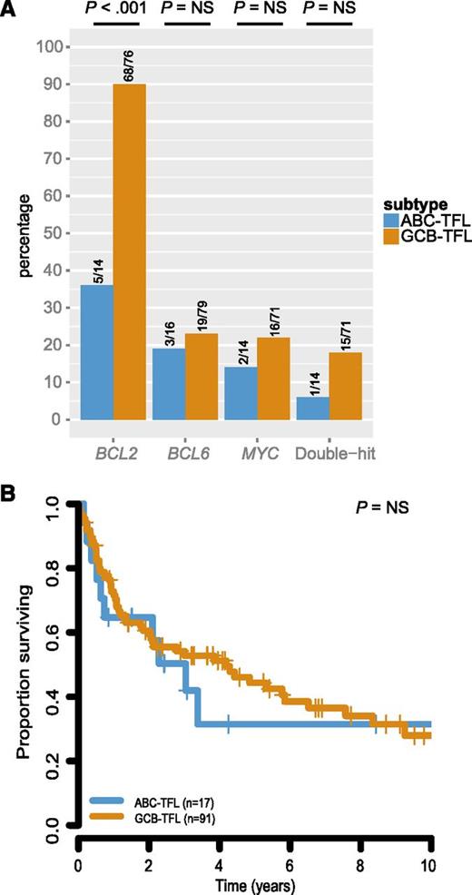 Figure 6. Survival and cytogenetic correlates of molecular subtypes in TFL. (A) Prevalence of BCL2, BCL6, and MYC translocation in TFL by COO subtype. (B) Survival from time of transformation by COO subtype in TFL. NS, not significant.