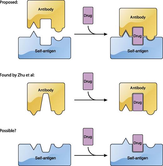 The current model for the recognition of platelet antigens by quinine-dependent antibodies. Current sandwich model (top). Summary of the findings of Zhu et al1 in which quinine is mostly embedded in the quinine-dependent antibody and quinine binding alters the conformation of the paratope (middle). Possibility that under certain circumstances quinine may also alter the conformation of the epitope in a platelet antigen (bottom). The figure has been adapted from Figure 5 in the article by Zhu et al1 that begins on page 2138. Professional illustration by Patrick Lane, ScEYEnce Studios.