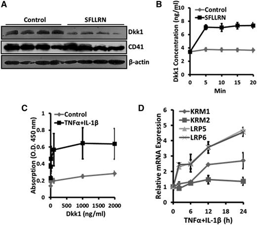Figure 4. Dkk1 is released from activated platelets and binds to AECs during acute pulmonary inflammation. PRP, isolated from LM-challenged mice, was incubated with 100 μM SFLLRN for 20 minutes (A) or 5 to 20 minutes (B) and then centrifuged. The protein levels of Dkk1 and CD41 in the pellet were determined by western blotting (A) and the Dkk1 level in the supernatant was determined by ELISA (B). (C) Primary mouse AEC II was cultured for 4 days and then stimulated with TNFα and IL-1β (20 ng/mL of each) for 24 hours. Recombinant mouse Dkk1 was added to the cells at the indicated concentrations for 2 hours. Cell-based ELISA was performed to quantify the binding of Dkk1 to the stimulated AECs. (D) The mRNA levels of the Dkk1 receptors (KRM1, KRM2, LRP5, and LRP6) were analyzed by real-time PCR in the TNFα/IL-1β–stimulated AECs and normalized to control. Data are expressed as the mean ± SEM from 3 independent preparations.