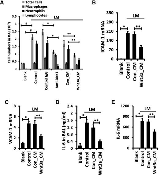 Figure 5. Intratracheal instillation of anti-Dkk1 antibody or Wnt3a attenuates neutrophil infiltration during LM-induced acute pulmonary inflammation. Mice were intratracheally instilled with LPS together with isotype-matched control IgG or function-blocking monoclonal antibody against Dkk1 (86 µg/mouse) and then mechanically ventilated (LM). Mice were also intratracheally coadministered with control (Con_CM) or Wnt3a-conditioned medium (Wnt3a_CM) along with LPS and ventilated as above. (A) Differential immune cell number in the BAL was counted. The mRNA levels of ICAM-1 (B), VCAM-1 (C), and IL-6 (E) in the whole-lung tissues were measured by real-time PCR and were normalized to blank control. (D) Concentrations of IL-6 in BAL were measured by ELISA. Data are expressed as the mean ± SEM (n = 5-8 animals). Statistical significance was determined by 1-way ANOVA analysis with post hoc Tukey test. *, **, and # represent P < .05.