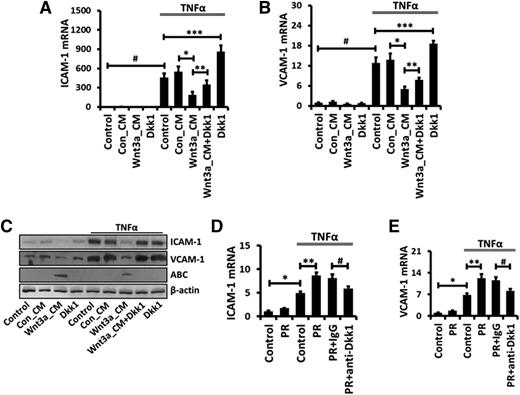 Figure 6. The platelet-derived Wnt antagonist Dkk1 is implicated in the stimulation of TNFα-mediated ICAM-1/VCAM-1 expression in AECs. E10 cells were incubated with 50% Con_CM or Wnt3a_CM together with 200 μM Dkk1 for 12 hours and then stimulated with 20 ng/mL TNFα for 2 hours (A-B) or 24 hours (C). Platelets were isolated from LM-challenged mice, resuspended in Tyrode-HEPES buffer, and treated with 0.1 U/mL thrombin for 90 minutes. Platelet releasate (PR) was collected and added to cultured primary mouse AECs together with isotype-matched control IgG or a function-blocking monoclonal antibody against Dkk1 (10 μg/mL) for 24 hours. After that, mouse AECs were stimulated with TNFα (20 ng/mL) for 2 hours (D-E). The mRNA levels of ICAM-1 (A,D) and VCAM-1 (B,E) were measured by real-time PCR using mouse 18S rRNA as a reference gene and normalized to control untreated cells. (C) Protein levels of ICAM-1, VCAM-1, and ABC were determined by western blotting with β-actin as an internal control. Data are expressed as the mean ± SEM from 3 independent preparations and statistical significance was tested with ANOVA analysis followed by post hoc Tukey test. *, **, ***, and # represent P < .05.