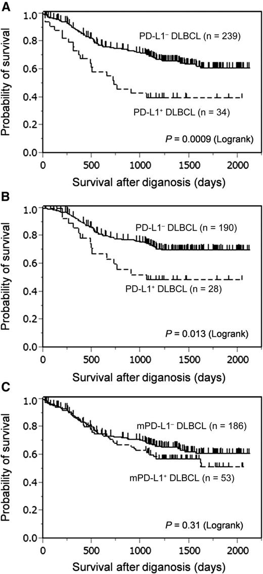 Figure 3. PD-L1 expression on tumor cells was associated with poor OS in patients with DLBCL. (A) OS of the entire study cohort. (B) OS of patients who received rituximab, cyclophosphamide, doxorubicin, vincristine, and prednisone (R-CHOP) or R-CHOP-like chemotherapy. (C) OS of patients according to mPD-L1 positivity.