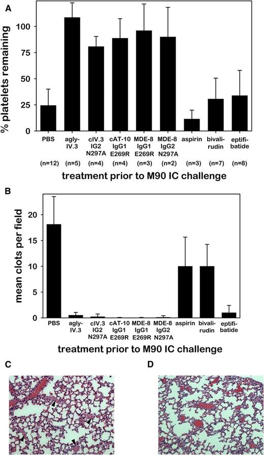 Figure 5. Agly-IV.3 and recombinant effector-deficient CD32a mAbs inhibit M90 IC-induced thrombocytopenia and thrombosis. (A) Bar charts showing the percentage of platelets remaining in circulation of FCGR2A mice following the injection of M90 ICs. Three hours prior to IC challenge mice were pretreated with PBS or CD32a mAbs (as in Figure 4A-E) or with aspirin, bivalirudin, or eptifibatide. (B) Mean number of clots in the lung vasculature of animals pretreated as in panel A, obtained by counting intravascular clots in 5 fields per 3-μm section (mean + SD). The data in panels A and B represent the same animals. An all pairwise multiple comparison using the same Holm-Sidak 1-way ANOVA procedure for each data set (A-B) showed a difference between treatment groups (P < .001), and that each effector-deficient mAb (columns 2-6) differed significantly (P < .001) from PBS (column 1). (C) Representative H&E lung section (×200) of control mouse (from PBS group shown in panel B). Arrowheads identify occlusive intravascular thrombi. (D) Representative H&E lung section (×200) from cAT-10 IgG1 E269R pretreated FCGR2A mouse (from panel B) followed by anti-CD40L IC injection showing blood vessels containing erythrocytes (red) but lacking thrombi.