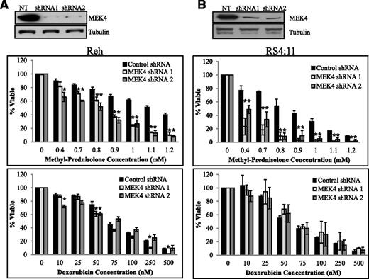 Figure 2. MEK4 knockdown increases sensitivity to prednisolone. Western blot for MEK4 in the control NT cell line and in the shRNA-expressing Reh (A, top) or RS4;11 cell line (B, top). NT and MEK4-targeting shRNA Reh (A) and RS4;11 cells (B) were treated with increasing concentrations of prednisolone (middle) or doxorubicin (bottom) for 24 hours. Cell viability was measured by CellTiter-Glo assay. *P ≤ .05. NT, non(mammalian)-targeting shRNA.