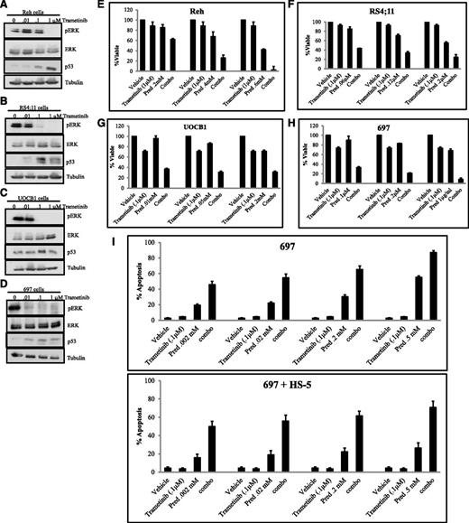 Figure 6. Inhibition of MEK1/2 increases sensitivity to prednisolone. Western blots for pERK, ERK, and p53 in Reh (A), RS4;11 (B), UOCB1 (C), and 697 cells (D) treated with 0.01 μM, 0.1 μM, or 1.0 μM trametinib for 48 hours. Cell viability was measured in Reh (E), RS4;11 (F), UOCB1 (G), and 697 cells (H) treated with the indicated concentration of trametinib, increasing concentrations of prednisolone (pred), or a combination of trametinib and prednisolone (combo) for 48 hours. (I) Percentage of apoptotic 697 cells grown alone or cocultured with HS-5 BMSCs upon treatment with prednisolone (pred), 0.1 μM trametinib, or a combination of prednisolone and 0.1 μM trametinib (combo).