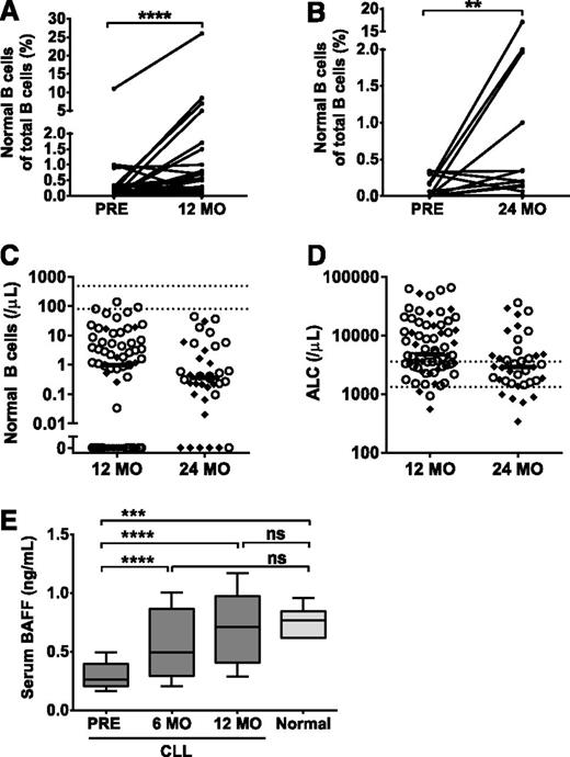 Figure 3. Detection of normal B cells and BAFF levels in the peripheral blood. (A) Percentage of normal B cells of total B cells at baseline (PRE) and 12 months (n = 45). (B) Percentage of normal B cells of total B cells at baseline (Pre) and 24 months (n = 16). (C) Absolute normal B-cell count and (D) ALC in treatment-naive (○) and relapsed/refractory (♦) patients at 12 (n = 67) and 24 months (n = 38) on log10 scale. Horizontal lines denote median values. Dotted lines illustrate the normal range. (E) Box-and-whisker plot (10th-90th percentile) of serum BAFF in ibrutinib-treated patients at baseline, 6, and 12 months (n = 21) and healthy controls (n = 6). Statistical significance is indicated by **P < .01, ***P < .001, ****P < .0001, or ns (P ≥ .05). ALC, absolute lymphocyte count.