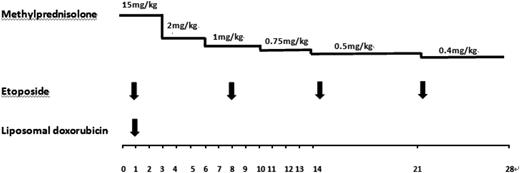 Figure 1. Dosage of DEP regimen. The horizontal axis of this figure is a timeline, split into days.