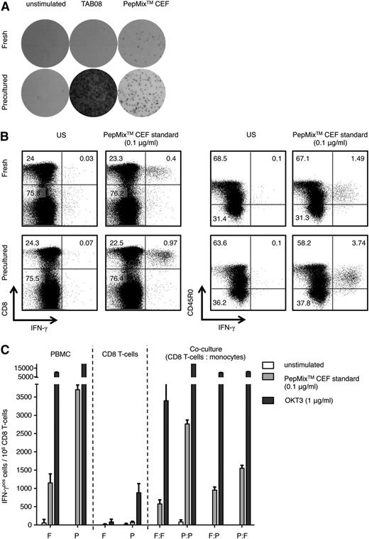 Figure 1. Enhanced antiviral IFN-γ response in human CD8 memory T cells by HD preculture of PBMCs. (A) Representative IFN-γ ELISPOT assay of fresh or precultured PBMCs. Cytokine release after stimulation with 1 μg/ml CD28 superagonist TAB08 (previously: TGN1412) and 0.1 μg/ml PepMix CEF standard was assessed after 16 hours. Unstimulated fresh and precultured PBMCs were used as negative controls. (B) Intracellular IFN-γ staining of fresh and precultured PBMCs after stimulation with 0.1 μg/ml PepMix CEF standard for 16 hours. Gating was performed on viable lymphocytes (left) and CD8 T cells (right). (C) Functional maturation of CD8 T cells and monocytes contributes to the HD preculture effect. CD8 T cells and monocytes were purified from fresh and precultured PBMCs of the same donor by magnetic sorting (magnetic-activated cells sorting) and cocultured under standard conditions at a 1:1 ratio in the presence of either 0.1 μg/ml PepMix CEF standard or 1 μg/ml OKT3, and were assessed by IFN-γ ELISPOT 16 hours after stimulation. Experiments were repeated ≥3 times. Data represent mean ± SD for triplicate samples for 1 representative donor out of 3. F, fresh; P, precultured; US, unstimulated.