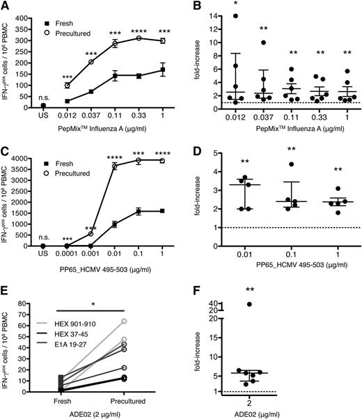Figure 2. Enhanced sensitivity of human CD8 T cells to defined viral antigens by HD preculture of PBMCs. (A) IFN-γ responses of CD8 T cells from fresh or precultured PBMCs from a representative healthy donor were directly compared by ELISPOT assay after stimulation with titrated PepMix influenza A. Unpaired Student t test: ***P < .0005; ****P < .0001. (B) Compiled data from 6 healthy donors tested as in (A). Data represent the mean fold-increase in IFN-γ responses of CD8 T cells from precultured PBMCs relative to CD8 T cells from fresh PBMCs after stimulation with the PepMix influenza A. Mann–Whitney U test: *P < .05; **P < .01. Data represent median with IQR. Raw data: supplemental Figure 5A. (C) IFN-γ responses of CD8 T cells from fresh or precultured PBMCs from an HLA–A0201-positive, CMV–sero-positive healthy donor after stimulation with titrated PP65_HCMV 495-503. (C) Unpaired Student t test: ***P < .0005; ****P < .0001. (D) Compiled data from 5 donors tested as in (C). Data presentation as in (B). Fold increase could not be calculated for the concentrations 0.0001 and 0.001 μg/ml where no response was detectable in fresh PBMCs (supplemental Figure 5B). (E) CD8 T-cell responses in fresh and precultured PBMCs to 2 μg/ml of 3 different ADV-derived peptides. (F) Compiled data from 7 HLA-A01 (HEX_ADE02 901-910), HLA-A02 (E1A_ADE02 19-27), or HLA-A24 (HEX_ADE02 37-45) positive healthy individuals. Data presentation as in (B). Mann-Whitney U test: **P < .01. Data represent median with IQR. n.s., not significant.