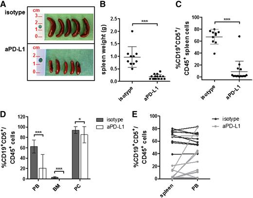 Figure 1. In vivo anti-PD-L1 treatment effectively controls CLL development after AT. Three-month-old C57BL/6 healthy hWT mice transplanted with 4 × 107 CLL cells from leukemic Eµ-TCL1 mice were randomized to treatment with 10 mg/kg rat immunoglobulin G2b (IgG2b) aPD-L1 (n = 15) or rat IgG2bκ isotype antibody (n = 10) administered intraperitoneally every 3 days starting 1 day after AT and were euthanized 31 days later. (A) Differences in spleen sizes between isotype and anti-PD-L1–treated mice. (B) Compared with isotype-treated controls, median spleen weights (g) of aPD-L1–treated mice were significantly reduced. (C-D) Single-cell suspensions of CLL-affected organs were analyzed by flow cytometry, and cells were gated on total viable 4,6 diamidino-2-phenylindole (DAPI) –negative single CD45+ cells. Tumor load, defined as percentage of CD5+CD19+ cells of total CD45+ hematopoietic cells, in (C) spleen and (D) PB, BM, and PC was compared between isotype- and aPD-L1–treated mice. (E) Tumor load distribution in spleen and PB depicted for individual mice, suggesting more effective disease control in secondary lymphoid organs than in PB. All graphs depict mean ± SD. *P < .05; ***P < .0001.
