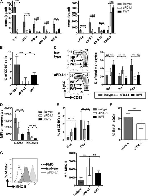 Figure 2. In vivo anti-PD-L1 treatment resolves systemic inflammation and repairs CLL-induced myeloid skewing. (A) Blood was collected by cardiac puncture, and serum levels (pg/mL) of IL-10, CCL2, TNF-α, granulocyte-macrophage colony-stimulating factor, MIP-2 (CXCL2), CCL4, CXCL9, CXCL16, and CXCL5 were analyzed in isotype (n = 5), aPD-L1 (n = 7), and hWT (n = 5) mice using multiplex bead arrays or enzyme-linked immunosorbent assay. (B) Spleen single-cell suspensions were analyzed by flow cytometry. Monocytes were defined as Lin–(CD19, CD3, Ly6G, and NK1.1)CD11b+F4/80intCD11clow-intMHC-IIlowSSCint cells, and their percentages of total viable spleen CD19– mononuclear cells (MNCs) were compared between isotype (n = 9), aPD-L1 (n = 14), and hWT (n = 5) mice. (C) Spleen monocyte subsets were defined on the basis of expression of Ly6C and CD43 as inflammatory (INF; Ly6ChiCD43low), intermediate (INT; Ly6ChiCD43hi), and patrolling (PAT; Ly6ClowCD43hi) monocytes. A representative example of the gating is depicted (left panel, numbers indicate percentage of populations), and a quantification after gating on total monocytes of at least 9 animals per group are shown (right panel). (D) Expression of adhesion molecules PECAM-1 and ICAM-1 was analyzed in splenic monocytes, and mean fluorescence intensities (MFIs) were compared. (E) Percentage of macrophages, defined as Lin–CD11blowF4/80hi cells, and conventional dendritic cells (cDCs), defined as CD11chiCD11b+ cells, of CD19– cells in spleens were compared. (F) In vivo proliferation of cDCs (CD11chiCD11b+) in spleen was assessed as percentage of EdU-positive cells of at least 10 mice per group injected with 100 µg per gram body weight EdU 20 hours before being euthanized. (G) MHC-II expression was analyzed on splenic CD11chiCD11b+ cDCs. A representative histogram is depicted (left panel), and MFIs of at least 9 mice per group are shown (right panel). All graphs depict mean ± SD. FMO, fluorescence-minus-one; Mac, macrophage; ns, not significant; *P < .05; **P < .001; ***P < .0001.