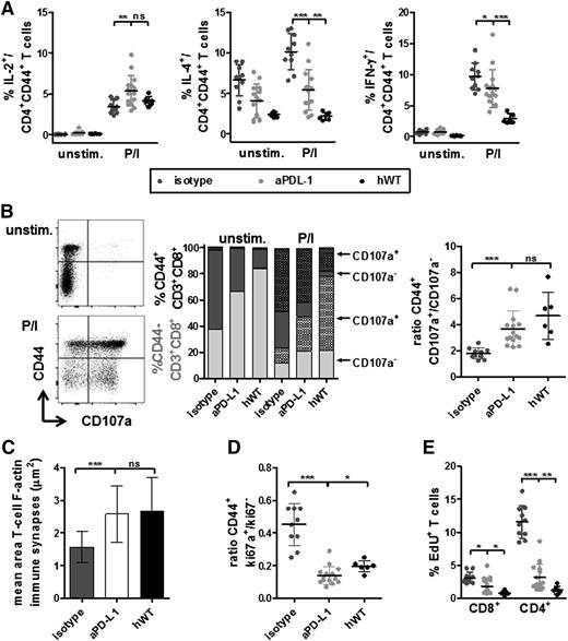 Figure 4. In vivo anti-PD-L1 treatment restores key T-cell effector functions. Fresh splenocytes of isotype (n = 10), aPD-L1–treated (n = 15), and hWT (n = 6) mice were cultured for 6 hours with or without phorbol myristate acetate (PMA)/ionomycin (P/I) in the presence of brefeldin A/monensin during the last 5 hours. (A) After surface staining for CD3, CD4, CD8, and CD44 and permeabilization/fixation, cells were stained for intracytoplasmic IL-2, IL-4, and IFN-γ and analyzed by flow cytometry. Unstimulated cells (unstim.) and FMO controls were included in the analysis, and percentages of IL-2, IL-4, and IFN-γ-positive cells of CD44+CD3+CD4+ viable, single MNCs were calculated. (B) Effector cell cytotoxicity was assessed by CD107a localization to the cell surface upon mitogenic stimulation with P/I. CD107a antibody was added from the beginning of the 6-hour in vitro culture period. Naïve and Ag-exp. CD3+CD8+ cytotoxic effector T-cell subsets were discriminated by expression of CD44. Unstimulated cells were used as controls. Left panel: representative flow cytometry dot plots. Center panel: quantification of CD107a-expressing cells within CD44– naïve (light gray) and CD44+ Ag-exp. cells (dark gray). Right panel: because of different relative frequencies of CD44+ cells between experimental groups, T-cell function was compared by calculating ratios of CD44+CD107a+:CD44+CD107a– cells of all CD3+CD8+ T cells to describe enrichment (increased ratio) or loss (decreased ratio) of effector cells within the CD44+ population. (C) Splenic T cells taken from aPD-L1, isotype, and hWT mice were mixed with 7-amino-4-chloromethylcoumarin-labeled, superantigen-pulsed healthy syngeneic B cells as antigen-presenting cells at a 1:1 ratio, centrifuged onto poly-lysine-coated microscope slides, and F-actin was stained with rhodamine-phalloidin. Immune synapse formation between T and B cells was quantified by confocal laser-scanning microscopy using AxioVision image analysis software. The synapse area is depicted as mean area of T-cell F-actin immune synapses (μm2) value. (D) To assess ex vivo proliferation of unstimulated cytotoxic T cells, intranuclear Ki-67 staining was analyzed by flow cytometry based on FMO controls and is given as a ratio among CD44+ cells as described in (B). (E) In vivo proliferation of CD8+ and CD4+ T cells in spleen was assessed after injection with 100 µg per gram body weight EdU 20 hours before being euthanized as a percentage of EdU+ cells after gating on single CD5+ T cells. All graphs depict mean ± SD. *P < .05; **P < .001; ***P < .0001.