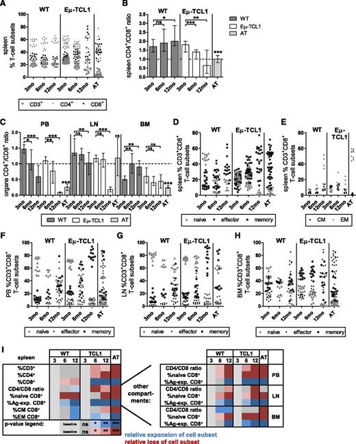 Figure 1. Longitudinal changes of T-cell subsets in PB and CLL-affected organs in aging Eµ-TCL1 and WT mice and after AT. At least 2 cohorts of 3-, 6, and 12-month (mo)-old Eµ-TCL1, WT, and AT mice containing ≥5 mice each were euthanized and PB, and single-cell suspensions of CLL-affected organs were stained for CD3, 4, 8, 62L, 44, and CCR7 (spleen only) and assessed in relation to CLL load (supplemental Figure 1). Dead cells were excluded by 4,6 diamidino-2-phenylindole. Groups were compared with 3-month-old mice. Mann-Whitney test was used for nonnormally distributed data and unpaired t test for normally distributed data, as determined by Shapiro-Wilk normality test. (A) Longitudinal changes of percentages of CD3+, CD3+CD4+, and CD3+CD8+ cells in spleens, leading to (B) changes in CD4+/CD8+ ratios in spleen, which were recapitulated in (C) PB, LNs, and BM. (D) Longitudinal changes of percentages of spleen CD44-CD62L+ naive, CD44+CD62L+ memory, CD44+CD62L− effector, and (E) CD62L+CCR7+ central memory (CM) and CD62L−CCR7− EM CD3+CD8+ cells. Longitudinal changes of percentages of naive, memory, and effector CD3+CD8+ cells in (F) PB, (G) LNs, and (H) BM (EM and CM cells were not assessed in these compartments/organs). All graphs depict median ± interquartile range and combine data from at all cohorts of mice at each age group. (I) Heat map summary of P values describing statistical differences in T-cell subsets in spleen identifying CLL-specific T-cell subset phenotype vs aging-related patterns. Groups were compared with 3-month-old mice. Blue, expansion; red, loss of cell subsets; ns = nonsignificant. *P < .05, **P < .001, ***P < .0001.