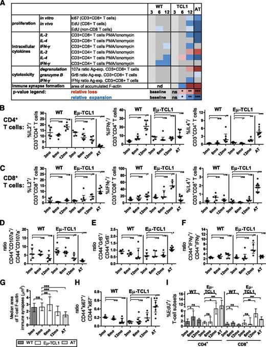 Figure 2. Longitudinal changes of T-cell functions in spleen as a representative organ in aging Eµ-TCL1 and WT mice and after AT. Fresh splenocytes from 3-, 6-, and 12-month-old WT and Eµ-TCL1 mice and from mice with full CLL after AT were stimulated for 6 hours with phorbol 12-myristate 13-acetate/ionomycin ± CD107a antibody in the presence of brefeldin/monensin for the last 5 hours of culture. Cells were then harvested, surface stained, fixed, permeabilized, and stained with antibodies against IL-2, IL-4, IFN-γ, and GrB. Unstimulated cells were used as controls and also stained with anti-ki-67 to assess proliferation. (A) Heat map summary of P values describing statistical differences in functional T-cell subsets. Groups were compared with the relative percentage of functional subsets in 3-month-old mice. Mann-Whitney test was used for nonnormally distributed data and unpaired t test for normally distributed data, as determined by Shapiro-Wilk normality test. Blue, relative expansion; red, relative loss of cell subsets; nd, no data; ns, nonsignificant. *P < .05, **P < .001, ***P < .0001. Percentages of (B) CD3+CD4+ and (C) CD3+CD8+ viable cells positive for IL-2, IL-4, and IFN-γ after mitogenic stimulation. Cells were gated based on unstimulated cell populations (supplemental Figure 1C). (D) Effector cell cytotoxicity was assessed by CD107a localization to the cell surface upon mitogenic stimulation. Naive/Ag-experienced viable CD3+CD8+ cytotoxic effector T-cell subsets were discriminated by expression of CD44. Unstimulated cells were used as controls. T-cell function was compared by calculating ratios of CD44+CD107a+ vs CD44+CD107a− cells out of all CD3+CD8+ T cells to describe enrichment (increased ratio) or loss (decreased ratio) of effector cells within the CD44+ population (supplemental Figure 1D). Longitudinal changes of intracellular (E) GrB and (F) IFN-γ were described in a similar fashion. (G) To assess changes in the ability to form immune synapse, splenic T cells were mixed with 7-amino-4-chloromethylcoumarin–labeled, super Ag-pulsed healthy B cells at a 1:1 ratio, centrifuged onto polylysine-coated microscope slides, and F-actin was stained with rhodamine-phalloidin. Synapse formation between T and B cells was quantified by confocal laser-scanning microscopy using AxioVision image analysis software. The synapse area is depicted as median area of T-cell F-actin immune synapses (μm2) value. (H) Ex vivo proliferation of unstimulated CD3+CD8+ T cells was assessed by intranuclear ki-67 based on FMO controls and is given as a ratio among CD44+ cells as described in panel D. (I) In vivo proliferation of CD8+ and CD4+ T cells was assessed after injection with 100 µg/g body weight EdU 20 hours before euthanasia as percentage of EdU+ cells after gating on CD5+ CD19− cells (ie, T cells). All graphs depict median ± interquartile range and combine data from all cohorts of mice at each age group.