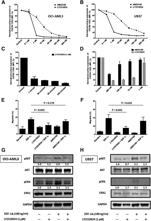 Figure 1. LY2510924 rapidly and durably blocks surface CXCR4 and inhibits SDF-1α–induced chemotaxis and prosurvival signals of leukemic cells. Both (A) OCI-AML3 and (B) U937 cells were cultured with different concentrations of LY2510924 or AMD3100 for 150 minutes, and surface CXCR4 was measured by flow cytometry with antibody 12G5, which is blocked by receptor occupancy with either agent. Results are expressed as percentage change in the mean fluorescent intensity (MFI) compared with control (untreated) cells. (C) OCI-AML3 cells were cultured with 1 nM LY2510924, and surface CXCR4 12G5 binding was measured by flow cytometry at different time points. (D) OCI-AML3 cells were cultured with different concentrations of LY2510924 or AMD3100 for 72 hours, and surface CXCR4 12G5 binding was measured by flow cytometry. (E) OCI-AML3 (0.5 × 106) or (F) primary AML (1.0 × 106; n = 3) cells were plated onto the upper chamber of Transwell plates and exposed to 50 ng/mL SDF-1α in the lower chamber with or without 1 nM LY2510924 or AMD3100 for (E) 2.5 hours or (F) 12 hours. The results are expressed as percentage of migrating cells relative to the number of input cells. After overnight serum starvation, (G) 1 × 106 OCI-AML3 or (H) U937 cells in RPMI medium containing 0.5% bovine serum albumin were or were not pretreated with 1 µM LY2510924 for 1 hour and were exposed to 100 ng/mL SDF-1α for 10 minutes. Phosphorylation of AKT (pAKT) and ERK (pERK) was detected by western blot analysis, and the intensity of the bands was quantified by densitometry and displayed as the ratio of phosphorylated protein to control phospho-protein. Glyceraldehyde-3-phosphate dehydrogenase (GAPDH) was used as a loading control. All results are expressed as the mean ± SD, with the exception of (F), expressed as the mean ± SEM.