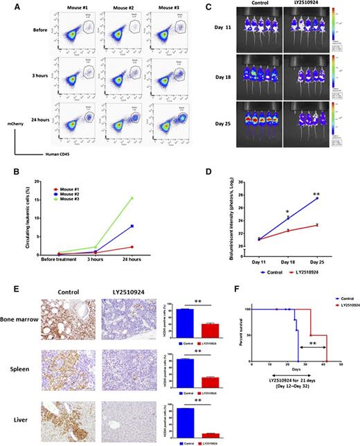 Figure 3. LY2510924 monotherapy has antileukemia activity in OCI-AML3 xenograft models. OCI-AML3/Luc/mCherry cells (1 × 106 per mouse) were intravenously injected into sublethally irradiated (250 cGy) NSG mice. Circulating OCI-AML3 cells were (A) identified by flow cytometry, and (B) percentages were determined among all nucleated cells in mice (n = 3) before and 3 or 24 hours after a single LY2510924 treatment on days 21 and 22. Shown are (C) serial bioluminescence images and (D) intensity quantitation of 5 representative mice from 2 groups, control and LY2510924 (n = 10 each), that began 3 weeks of daily treatment 12 days after cell injection. (E) Three representative mice per group were euthanized on day 22, and tissues were fixed and sectioned for immunohistochemical analysis with antihuman CD45 antibodies to identify human leukemic cells. Analysis of the multispectral images further confirmed that leukemic cell burden was significantly reduced in LY2510924-treated mice. Original magnification, ×200. (F) Overall survival rate in each group was estimated by the Kaplan-Meier method. Results of (D), (E), and (F) are expressed as the mean ± SEM. *P < .05; **P < .01.