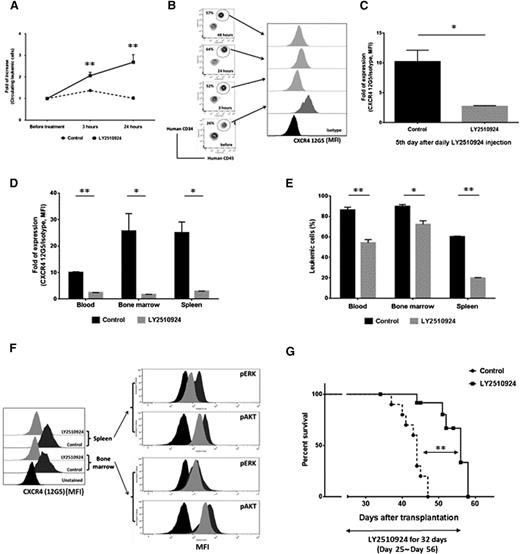 Figure 4. LY2510924 durably blocks surface CXCR4, induces mobilization of leukemia cells, and inhibits AKT and ERK intracellular signaling in vivo, retarding progression of primary AML xenografts. Primary AML cells (0.4 × 106 per mouse) were intravenously injected into NSG mice. Mice were divided into two groups, control (n = 13) and LY2510924 (n = 15), after engraftment was documented in peripheral blood on day 25 and began to receive daily treatment. (A) In 5 representative mice of each group, percentages of circulating primary AML cells before and 3 or 24 hours after the first LY2510924 injection on days 25 and 26 were compared with those of untreated mice. (B) Identification of circulating leukemic cells by flow cytometry and staining for CXCR4 with antibody 12G5 (inversely reflective of receptor occupancy) at points during the initial 2 days of daily LY2510924 administration are shown for a representative mouse. (C) CXCR4 staining with antibody 12G5 after 5 days of LY2510924 treatment was compared in 5 representative mice of each group. (D-E) Three representative mice per group were euthanized on day 45, and cells from BM, spleen, and blood in all mice (control, n = 6; LY2510924, n = 11) on day 45 were analyzed by flow cytometry; dual-positive cells (human CD34 and CD45) were compared between each group in terms of (D) expression of CXCR4 12G5 and (E) proportion of leukemic cells. (F) AKT and ERK phosphorylation in dual-positive cells (human CD34 and CD45) recovered from BM and spleen were measured by multiparametric phospho-flow cytometry in a representative mouse from each group on day 48. The results showed that receptor occupancy by LY2510924 correlates with reduced AKT and ERK phosphorylation. (G) Overall survival rate in each group was estimated by the Kaplan-Meier method. Results of (A), (C-E), and (G) are expressed as the mean ± SEM. *P < .05; **P < .01.