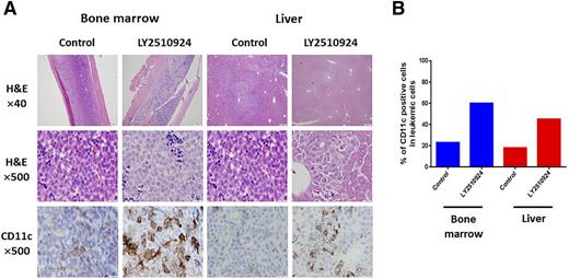 Figure 7. LY2510924 induces myeloid differentiation of AML cells in organs of OCI-AML3 xenograft model. (A) In the OCI-AML3/Luc/mCherry xenograft model, BM and liver samples of representative control and LY2510924-treated mice were fixed and sectioned for immunohistochemical analysis with antihuman CD11c antibodies to investigate myeloid differentiation of leukemic cells. Low magnification of BM sections shows that leukemic cells almost completely efface the BM medullary space in the control mouse whereas clusters of large pale leukemic cells are intermixed with small darker normal hematopoiesis in the LY2510924-treated mouse. Low magnification of liver sections also demonstrates that the periportal sheets of neoplastic cells are significantly larger in the control compared with the LY2510924-treated mouse. At high magnification, the leukemic cells demonstrate similar morphology in BM and liver in both control and treated mice. However, anti-CD11c antibody demonstrates more differentiated cells in BM and liver of a treated mouse compared with BM and liver of a control mouse. (B) The CD11c expression was assessed by manually counting positive and negative signal in 200 leukemic cells, which were discriminated from mouse cells based on size and nuclear chromatin characteristics; the bar graph demonstrates the difference between groups. H&E, hematoxylin and eosin.