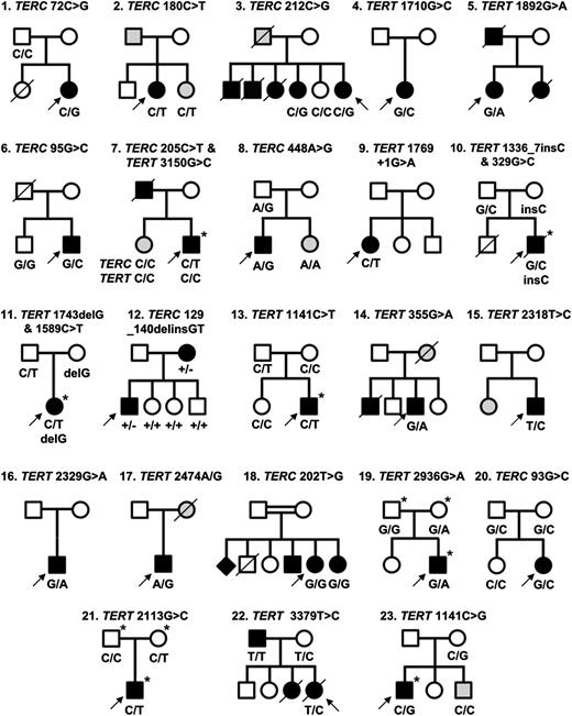 Figure 1. Twenty-three families identified with telomerase variants. Open circles and squares indicate unaffected females and males; black circles and squares, affected females and males; gray circles and squares, females and males with few disease features; diamond, gender unknown; line through, deceased. Arrows indicate the index cases in each family. Where known, the genotype is indicated below each individual. Individuals who have undergone exome sequencing are denoted with an asterisk (*).