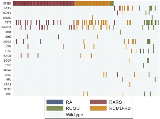 Figure 1. Mutation patterns in MDS with ring sideroblasts and <5% bone marrow blasts. Diagnosis of each sample according to WHO criteria is shown by indicated colors.