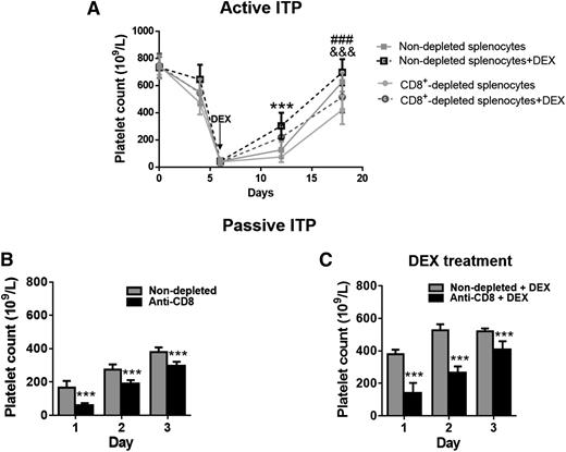 Figure 2. Depletion of CD8+ T cells results in more severe thrombocytopenia and impairs responsiveness to steroid therapy in vivo. For the active model, WT mice were transplanted with immunized β3−/− splenocytes with or without depletion of CD8+ T cells. DEX treatment began at day 6. (A) Thrombocytopenia was more severe in mice given CD8+ T cell–depleted splenocytes compared with those transplanted with nondepleted splenocytes as indicated by &&&P < .001. Mice transplanted with CD8+ T cell–depleted immunized β3−/− splenocytes were less responsive to oral DEX compared with mice transplanted with nondepleted splenocytes as indicated by ###P < .001. ***P < .001, nondepleted splenocytes vs nondepleted splenocytes + DEX. N = 8. In our passive mouse model, CD8+ T cells were depleted from WT mice by injection of anti-CD8 mAb (400 μg intravenously) before inducing passive ITP with anti-β3 mAb (9D2, 1 μg intraperitoneally). Platelet counts were not significantly affected by anti-CD8 mAb depletion of CD8+ T cells. DEX was administered (10 mg/kg/day, intraperitoneally, daily) beginning at 4 hours after anti-β3 mAb injection. (B) Thrombocytopenia was more severe in CD8+ T cell–depleted mice compared with those given the anti-β3 integrin mAb alone. N = 6. (C) CD8+ T cell–depleted thrombocytopenic mice were less responsive to DEX compared with mice with normal levels of CD8+ T cells. N = 6. ***P < .001. Mean ± SD.