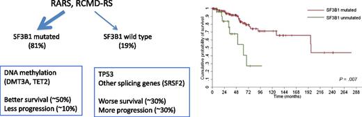 The majority of RARS and RCMD-RS have mutations in SF3B1, and these cases have a better outcome compared with cases without the mutation. SF3B1 mutants also have a high percentage of mutations involving DNA methylation genes. In wild-type SF3B1, those with mutations in other splicing genes also segregate with DNA methylation mutations, whereas those with no RNA splicing mutations have a higher prevalence of TP53 mutations. The figure has been adapted from data and Figure 2C in the article by Malcovati et al that begins on page 233.