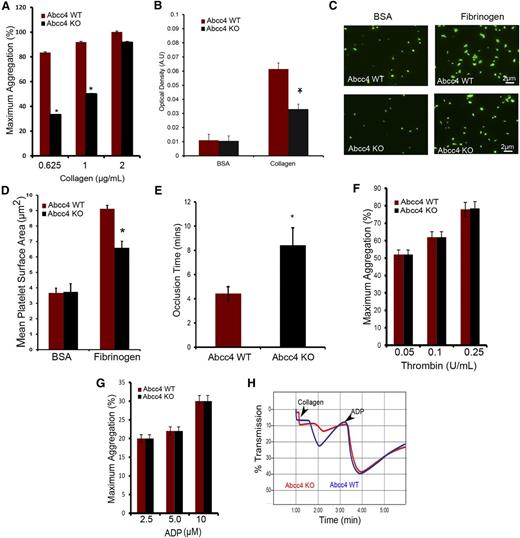 Figure 4. Abcc4 KO platelets have reduced aggregation with reduced thrombus formation in vivo. (A) Collagen-mediated, Abcc4 WT, and KO platelet aggregation measured using PRP in a Chronolog aggregometer with various concentrations of collagen. Platelet aggregation was performed 3 times with PRP pooled from 3 to 5 mice for each genotype. The bar represents 1 standard deviation. (B) PRP was used to determine the platelet binding to collagen-coated plates and the optical density (AU) (*P < .05). The binding assay was performed twice and the data were derived from pooled PRP of 3 to 5 individual mice per genotype per experiment. The bar represents 1 standard deviation. (C) Representative image of the spreading of Abcc4 KO and WT platelets on fibrinogen-coated coverslips. (D) The surface area covered by each platelet was determined for 200 platelets and 10 independent fields. This experiment was repeated twice with pooled PRP, with the data derived from 3 individual mice of each genotype shown. The bar represents 1 standard deviation for platelet surface area. (E) The mean time to vessel occlusion was calculated from FeCl3 experiments performed on 5 to 8 mice per group. (F) Percentage of thrombin-mediated platelet aggregation measured using Abcc4 WT and KO-derived PRP by a Chronolog aggregometer after incubation with various thrombin concentrations. (G) Percentage of ADP-mediated platelet aggregation measured using derived PRP. (H) A representative aggregation tracing of PRP from Abcc4 WT and KO mouse treated first with 0.625 μg/mL collagen and, at the indicated time, 1.25 μΜ ADP. Platelet aggregation experiments were performed 3 times using PRP derived from 3 to 5 individual mice per genotype. The bar in each graph represents 1 standard deviation (*P value < .05).